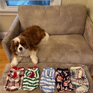 Hanna Andersson dog pajamas (dog not included!) size XS gently used